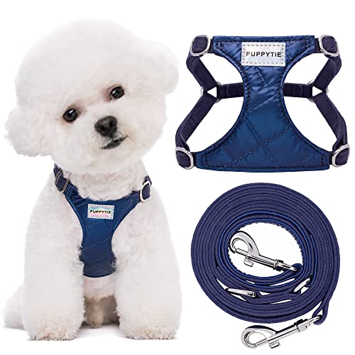 No Pull xs Dog Harness with Multifunction Dog Leash,Soft Adjustable No Choke Escape Proof Pet Harness Vest,Glossy Sapphire Blue ,XXS