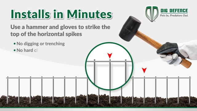 Amazon.com : Dig Defence Original Animal Barrier Fence - Large