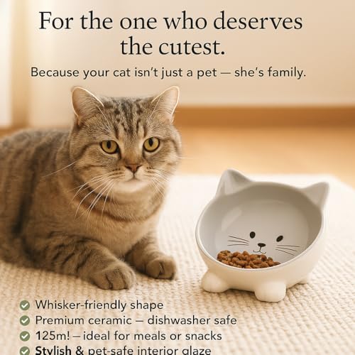 Katzennapf Keramik – 125 ml Ø13,8 cm – Elegante Schale für Katzen in Grau – Flamingo Katzennapf Puzi Grau