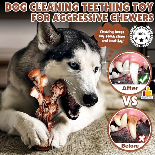 Dog Toys, 4-Pack Indestructible Dog Chew Toys for Aggressive Chewers, Nylon Durable Dog Toys for Medium Large Dogs Breed, Bacon Flavored Tough Dog Bones Chew Toys for Super Chewer Dog Toys, 4-Pack Indestructible Dog Chew Toys for Aggressive Chewers, Nylon Durable Dog Toys for Medium Large Dogs Breed, Bacon Flavored Tough Dog Bones Chew Toys for Super Chewer