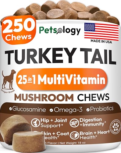 Turkey Tail Mushroom for Dogs - 250 Chews - Lions Mane - Shiitake - Reishi - Buddy Immune Support Guard - Lipoma Mushroom Supplement for Dogs Lumps and Bumps Glucosamine Health Vitamins Multivitamin