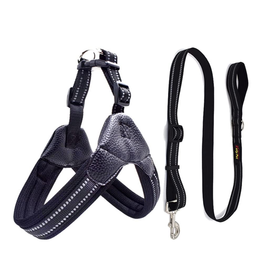 Breathable Nylon Mesh Dog Harness Adjustable Dog Harness and Leash Set Dog Accessories Pet Supplies C XS