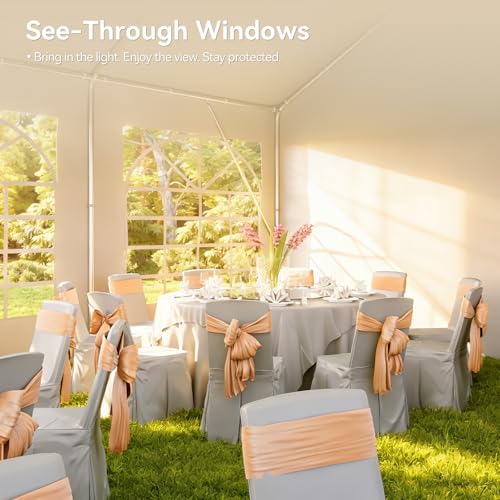 Aoxun 20x40 Party Tent Canopy
