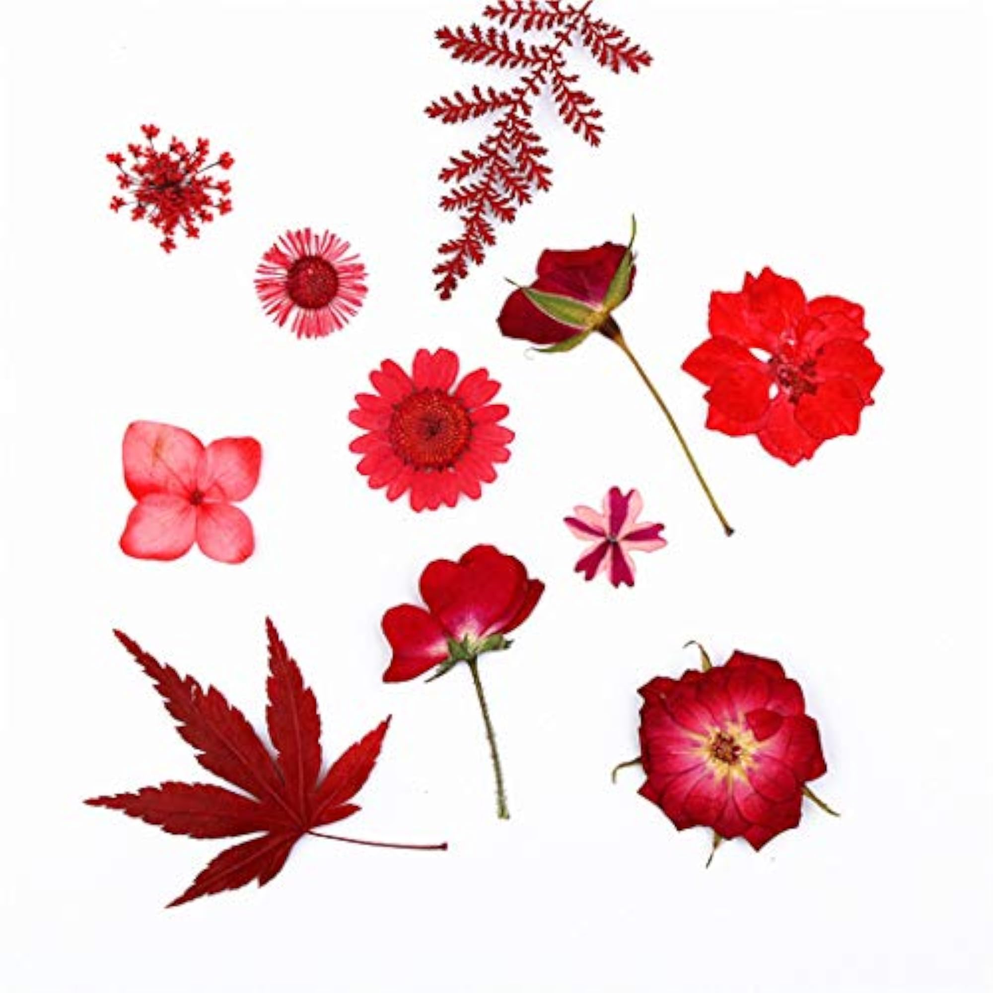 Dried Pressed Flowers Creative Dry Flower Kit DIY
