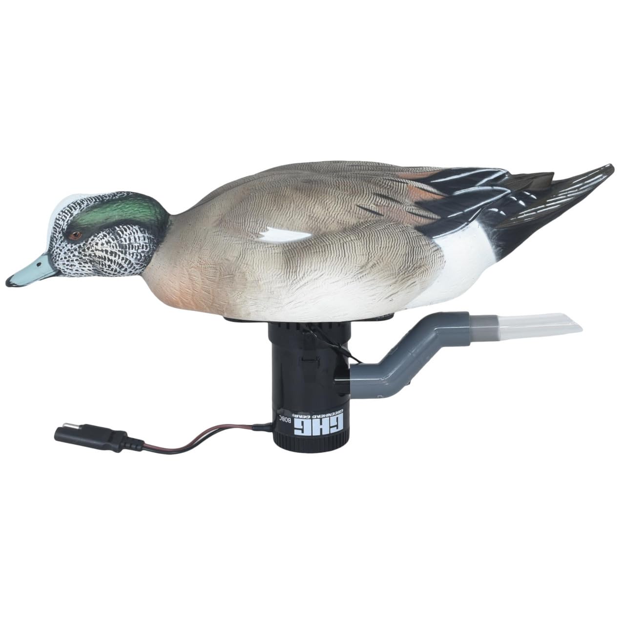 Avery Finisher Swimmer Wigeon Drake