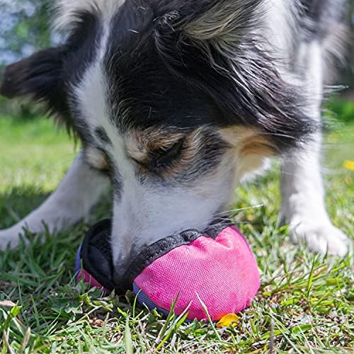 Tug-E-Nuff The Clam | Compact Dog Treat Dispenser Toy with Clever Opening Mechanism | Ideal for Interactive Dog Training | Pocket-friendly and Size 4.5 inches