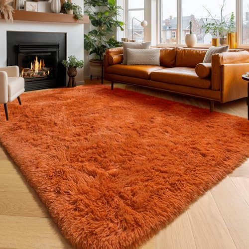 Amdrebio Burnt Orange Area Rugs for Living Room Bedroom, 6x9 Shaggy Furry Fuzzy...