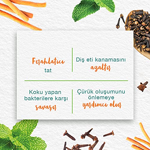 Himalaya Since 1930 Nane Ferahlığı Bitkisel Diş Macunu, Florürsüz, Parabensiz, Vejeteryan, Ferah Nefes, 75 ml (3 paketi)