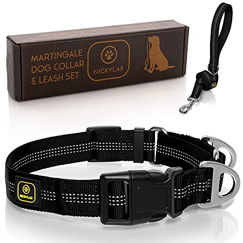 Top 10 Best Martingale Collar Petsmart Reviews In 2024 Glory Cycles