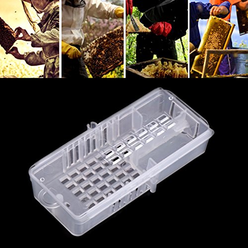 Bee Box Honey Beekeeping Plastic Hive Cage Catching Tool Moving Equipment Match