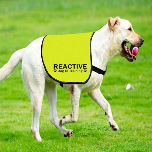 Reactive Dog Jacket Vest - Service Dog Slogan Warning Vest (REACTIVE Training L), REACTIVE Training L eu, Large - Image 4