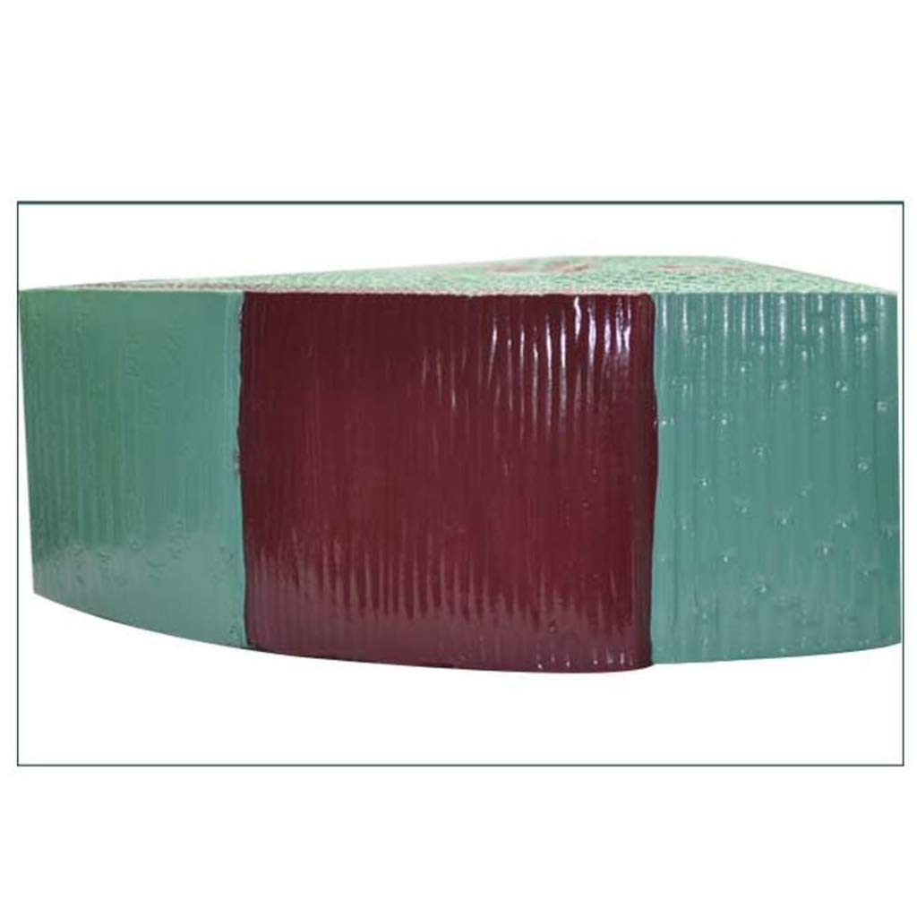 Modello di Anatomia vegetale Modello di Stelo monocotiledone Modello educativo Modello di Stelo monocotiledone per Strumento didattico Biologico, Attrezzatura da Laboratorio
