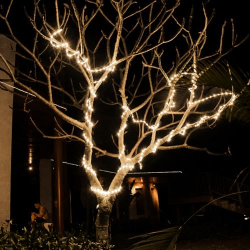 Image of COXO 1 Meters LED Rope Light for Decoration - Waterproof Warm White SMD Cove Light for Ceiling, Home Decor, LED Pipe Light for Diwali, Festival, Indoor, Outdoor Use (Warm White, 1 Meter)