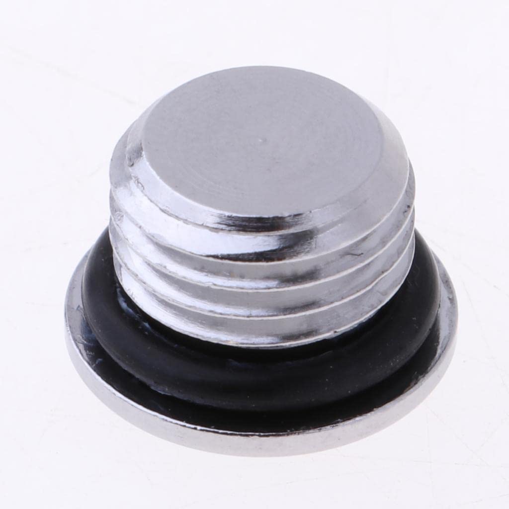 LoveinDIY 2pcs Scuba Diving Regulator Port Plug 7/16'' Low Pressure Screws 3/8