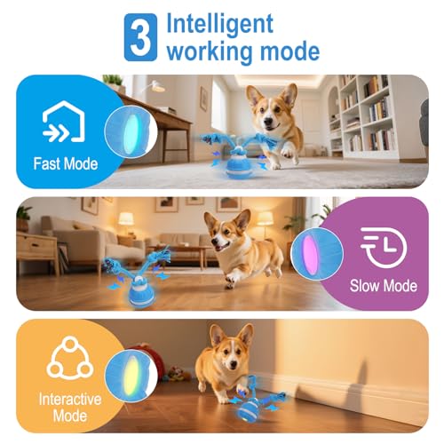 NGOKPYD Interaktives Hundespielzeug Hundeball Elektrisch Ball, 3 Spielmodi, Gibt VogelgeräUsche ab, um Die Neugier Zu Wecken, mit 3 Kaustricken, Ideal für Kleine Hunde & Welpen(Blau)