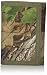 RealTree Men's Nylon Trifold Wallet, Camo, One Size