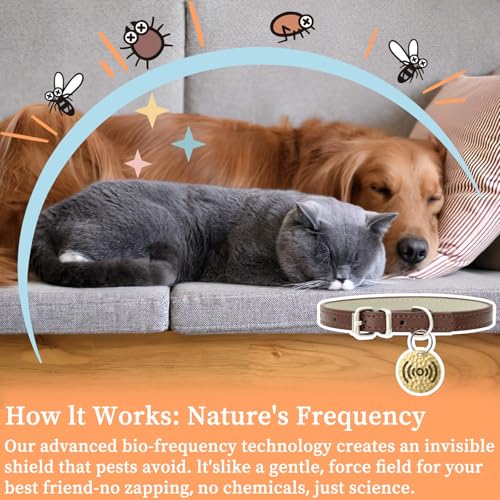 Natural Flea & Tick Repellent Collar Pendant for Dogs & Cats –12-Month Water-Resistant Biomass Energy Pet Shield – Safe for Pets When Used as Directed – Gift Ready (One Size- 2packs)