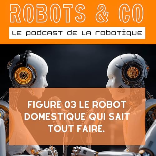 Figure O3 : le robot domestique qui sait tout faire