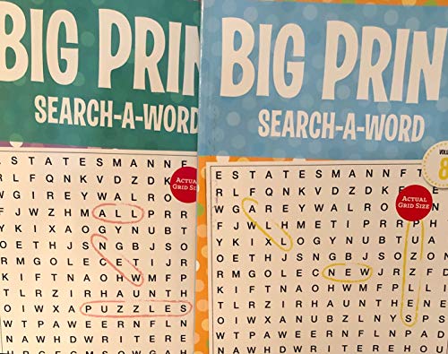 Big Print Search-A-Word Bundle of Two Assorted miniatura 1