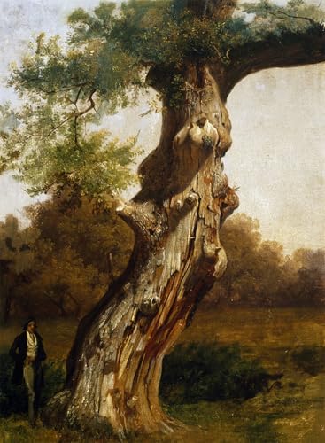IPLUPJDY Pintura Mural Cuadro en Lienzo Lienzo Para Pared el árbol de Filippo Palizzi para la Decoración del Hogar del Dormitorio 60x90cm