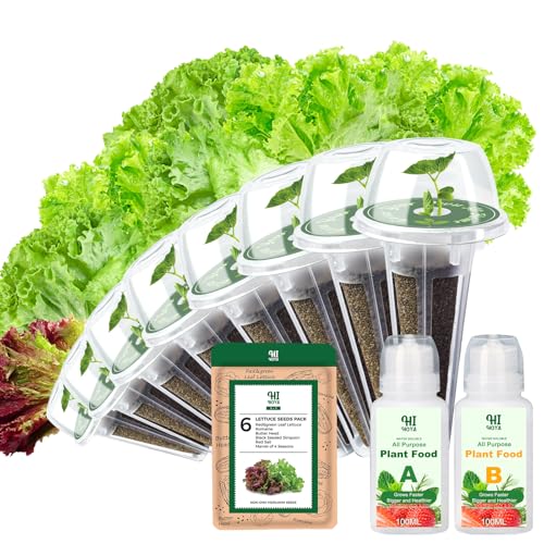 Lettuce Seed Pod Kit Romaine Butter Head Red Sail Red&Green Leaf Red Sail Lettuce Grow Anything Seed Pod Kit Compatible with All Indoor Hydroponics (8-Pod)
