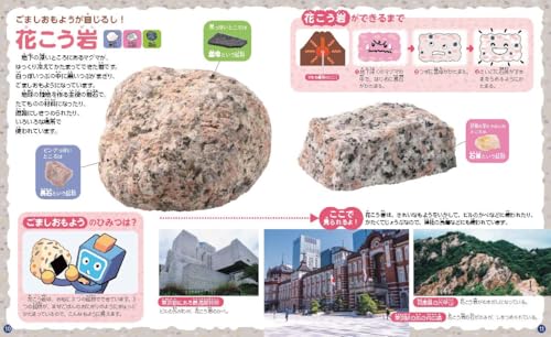 ①自分でさがせる！　火成岩編 (石のふしぎがわかる！　岩石・宝石ずかん)