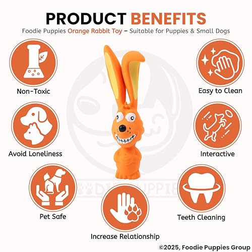 Image of Foodie Puppies Natural Latex Rubber Squeaky (Orange Rabbit, 17cm) Dog Toy | Small to Medium Dogs & Puppy | Durable, Animal Design, Fetch & Chew Safe Play Toy | Reduce Separation Anxiety