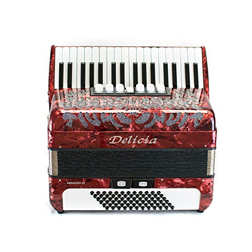 Delicia Arnaldo 23 Standard Accordion - Want It All