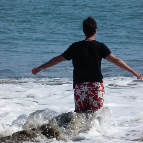 『Le Fil de Will』のカバーアート