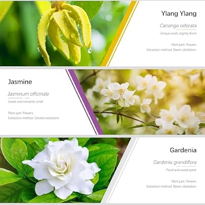 Essential Oils Set, ESSLUX Floral Essential Oils for Diffuser, Candle Making Scents - Rose, Jasmine, Gardenia, Ylang-Ylang, White Tea, Cherry Blossom, 6x10ml