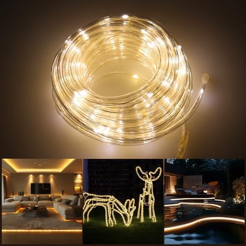 100ft LED Rope Light with Remote 8 Modes Strip Lights with Timer & Memory 5.5mm Large Diameter Twinkle Lights for Wedding Garden Christmas Halloween Bedroom Patio Decorations (30M, Warm White)