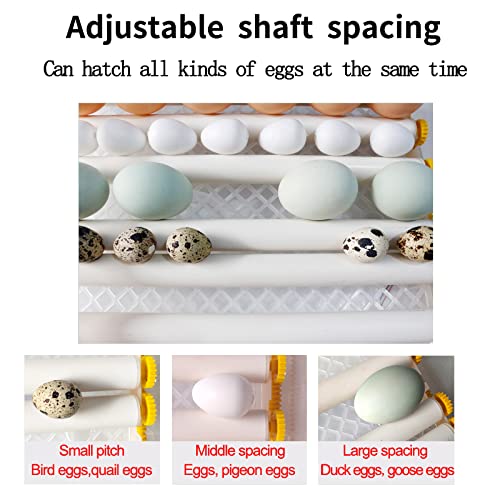 Eggs Hatching Incubator – Vollautomatischer Inkubator, Temperaturregelung, Feuchtigkeitsanzeige, automatischer… – Bild 5