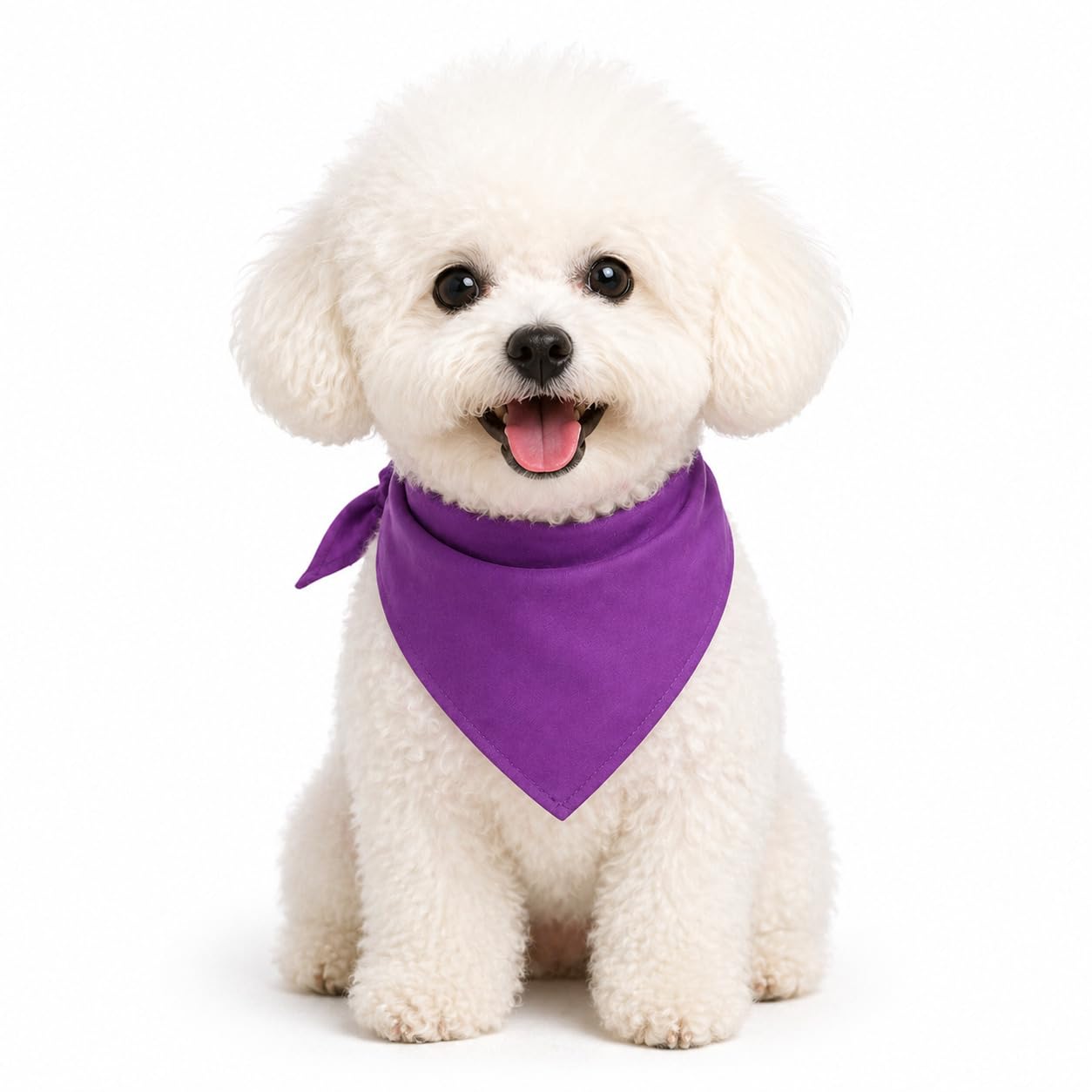 Petitebelle Single Color Pet Bandana (Purple, Small)