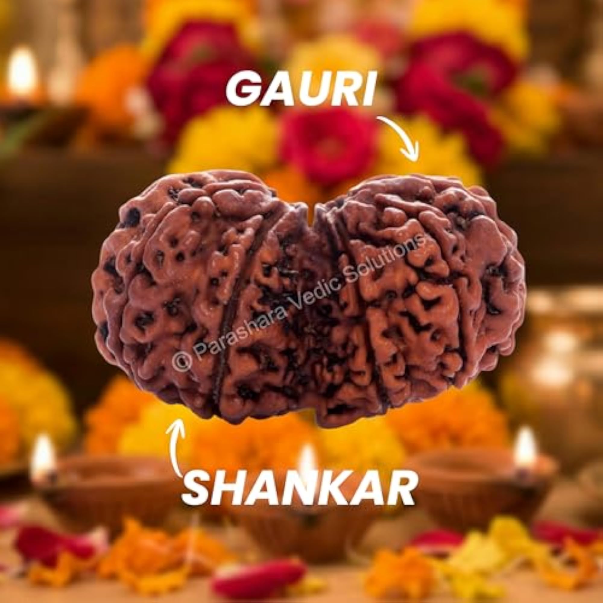 Gauri Shankar Rudraksha Certified Beads