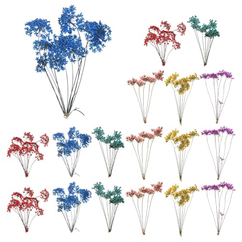 18 piezas de flores secas prensadas naturales para manualidades miniatura 1