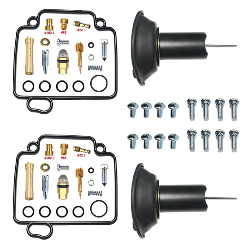 XP500 TMAX Carburateur Kit pour Reprendre la Route sans Panne Moteur