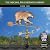 Good Directions Bear Weathervane with Arrow, Pure Copper, Polished