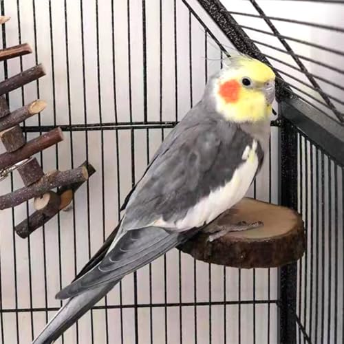 Image of Hamiledyi Perch Platform for Bird Cage,Natural Round Wooden Stand Platform Bird Toy for Canary Parakeet Cockatiel Parrot Budgie Sparrow(3 Pcs)