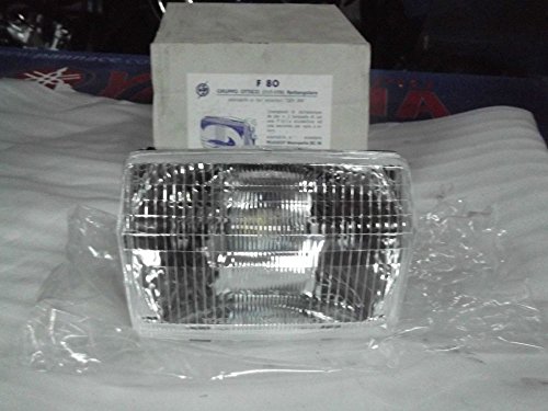 Gruppo ottico faro rettangolare per peugeot