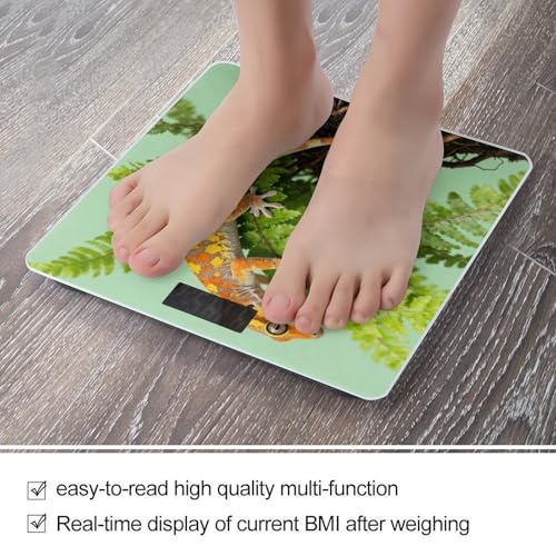 Báscula digital Crested Gecko para baño 400 lb miniatura 5