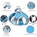 AIITLE Hundegeschirr und Leine Set, No Pull Schritt in Welpengeschirr mit Super atmungsaktivem Mesh, einstellbare reflektierende Welpen Essentials für die Ausbildung für kleine Hunde, Katzen Blau XS