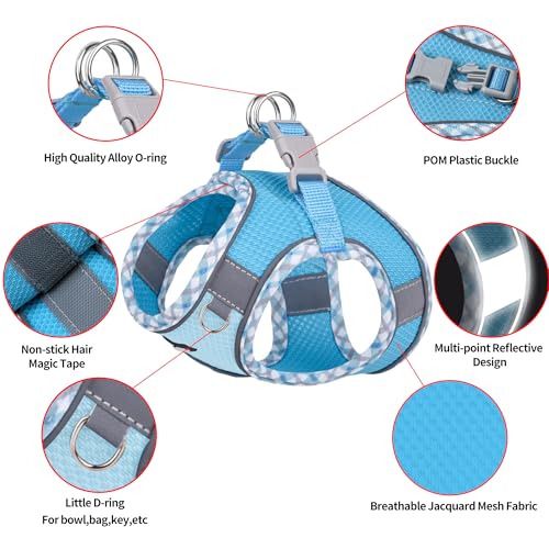 AIITLE Hundegeschirr und Leine Set, No Pull Schritt in Welpengeschirr mit Super atmungsaktivem Mesh, einstellbare reflektierende Welpen Essentials für die Ausbildung für kleine Hunde, Katzen Blau XS