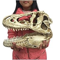 ティラノサウルス 頭部 化石　模型 51Vs54L1PlL._SS200_.jpg