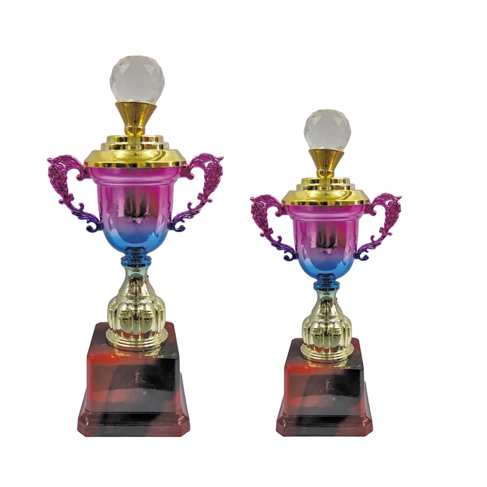 Premium Multicolour Trophy – Decorative Achievement Award Cup for Winners, Sports & Corporate Events – Pack of 2 (Sizes -11 Inch, 10 Inch)-image-34