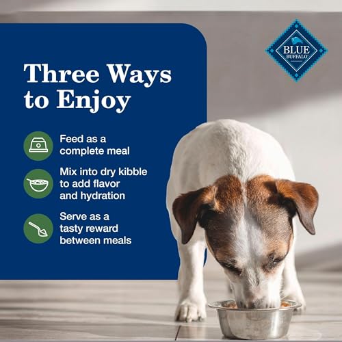 Image of Blue Buffalo Homestyle Recipe Lamb Senior Wet Dog Food, 12.5 oz, 12 ct