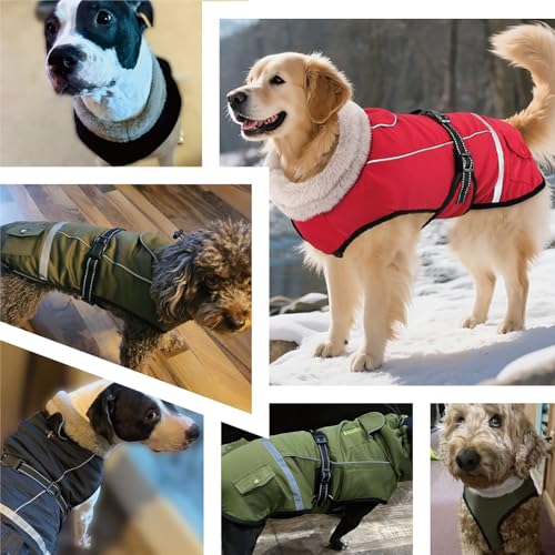 Woiil Hundemantel Wintermantel, Hundejacke Wasserdicht für Grosse Hunde mit Verstellbaren Schultergurten, Warm Hundemantel aus Fleece, Reflektierende Streifen,Geeignet für Labrador Olivgrün, XL