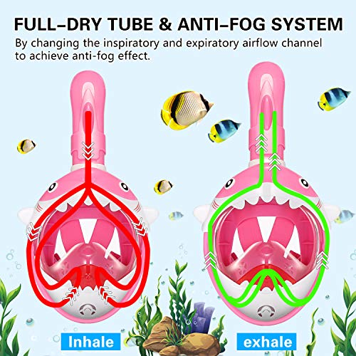 image for THENICE Full Face Snorkel Mask, Foldable Snorkeling Mask, Free Breathi