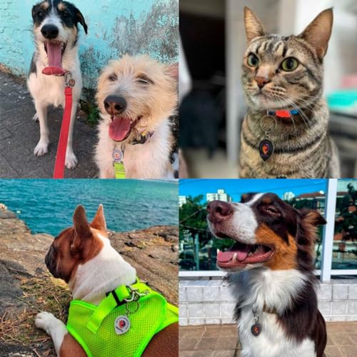 Pingente Inteligente QR Code para Pets Identificação Digital com Localização Notificações em Tempo R