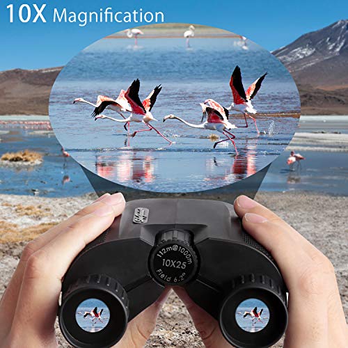 Skygenius 10X25 Compact Binoculars, Bk4 Roof Prism Fmc Lens Kid Binoculars For Bird Watching, Binoculars For Adults Pocket For Concerts, Theater, Travel (0.53Lb) #TOP3