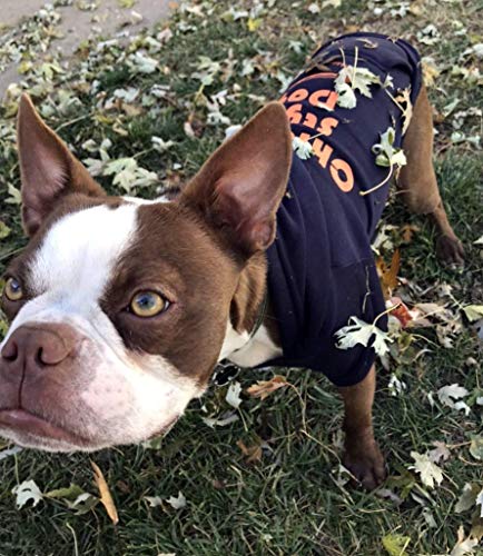 Chicago Style Dog Hoodie - Size XXLarge - fits dogs 29-45 lbs - warm dog clothes4